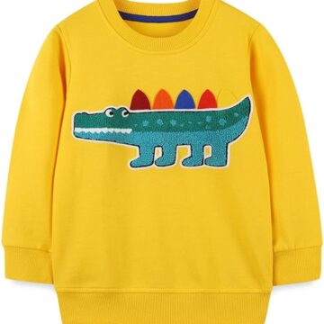 20% OFF Little Bitty Toddler Boy Sweatshirt Cotton Crewneck Pullover Long Sleeve Sweater Shirt for Kids 2-8 Years